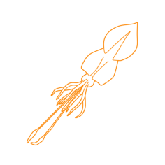 Animals Cephalopods Colossal Squid Silhouette Cutting Svg Files, Free Vectors File